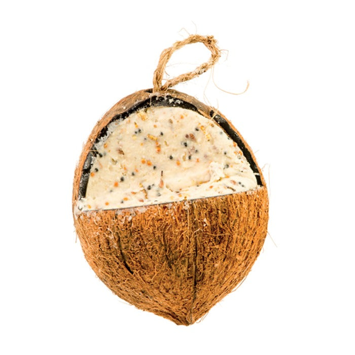 Whole Coconuts