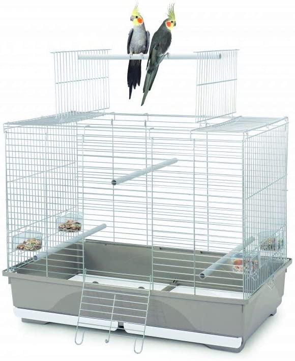 Wilma Open Top Bird Cage